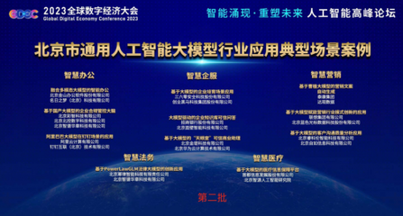 大模型變“小”亦能“大”有作為 黑馬天啟以“重度垂直”新思路，入選北京大模型行業應用典型案例
